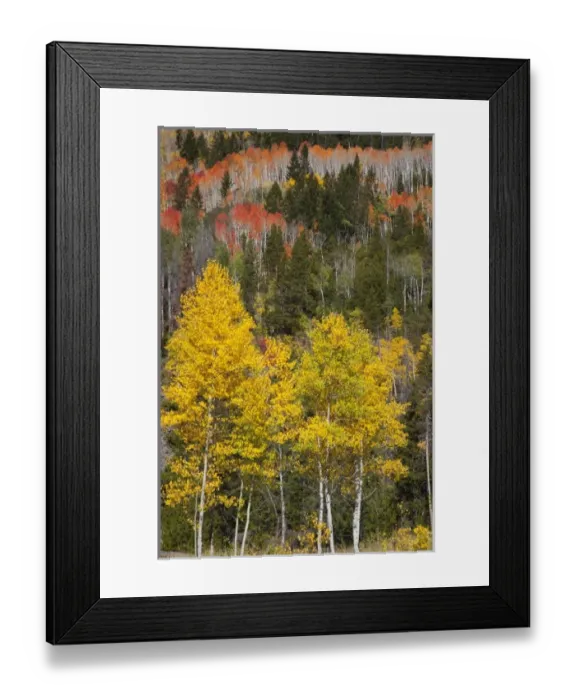 Framed Print : USA, North America, Utah Framed Print : USA, North America, Utah