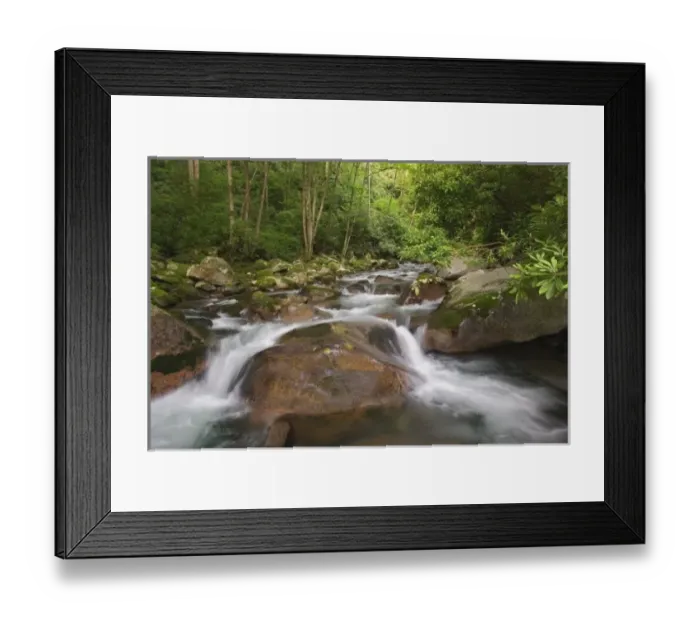 Framed Print : USA, North America, North Carolina Framed Print : USA, North America, North Carolina