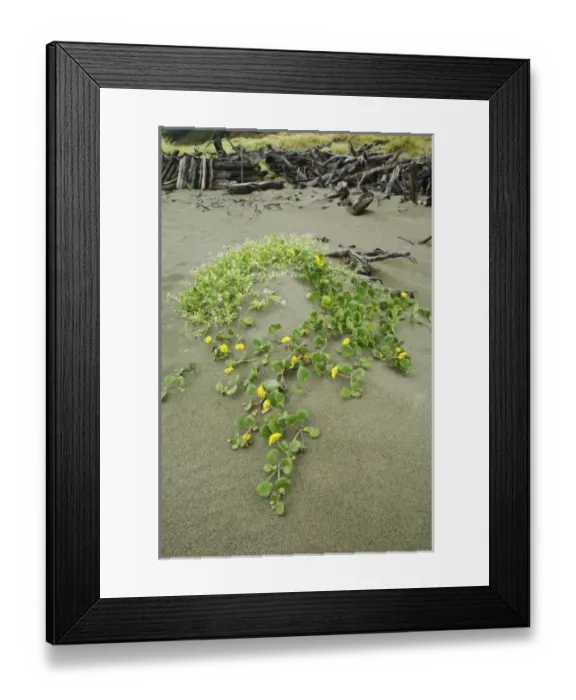 Framed Print : USA, North America, Oregon