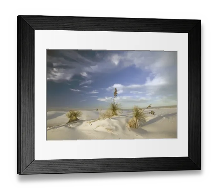 Framed Print : USA, New Mexico, White Sands National Monument situated in the Tularosa Basin of