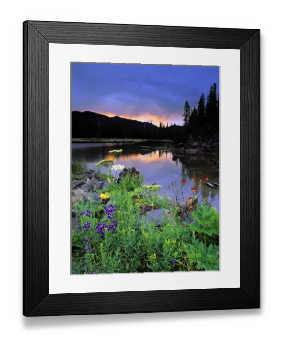 Framed Print : USA, Oregon, Sparks Lake. A cloudy sunrise enhances the colors in these wildflowers at Sparks Lake