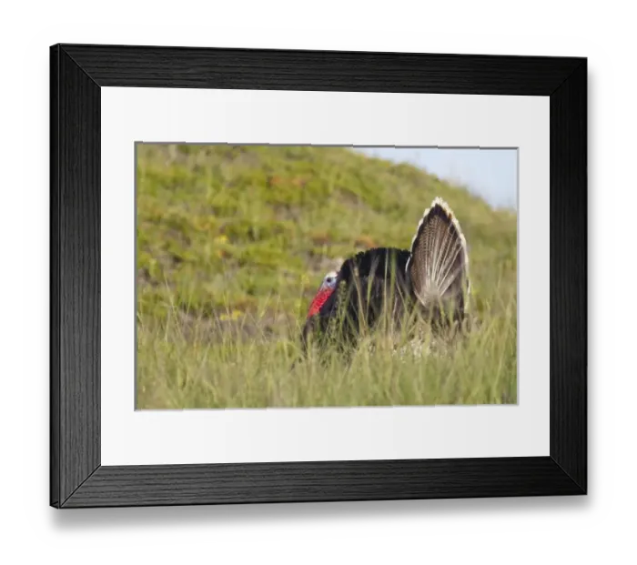 Framed Print : USA, North America, North Dakota