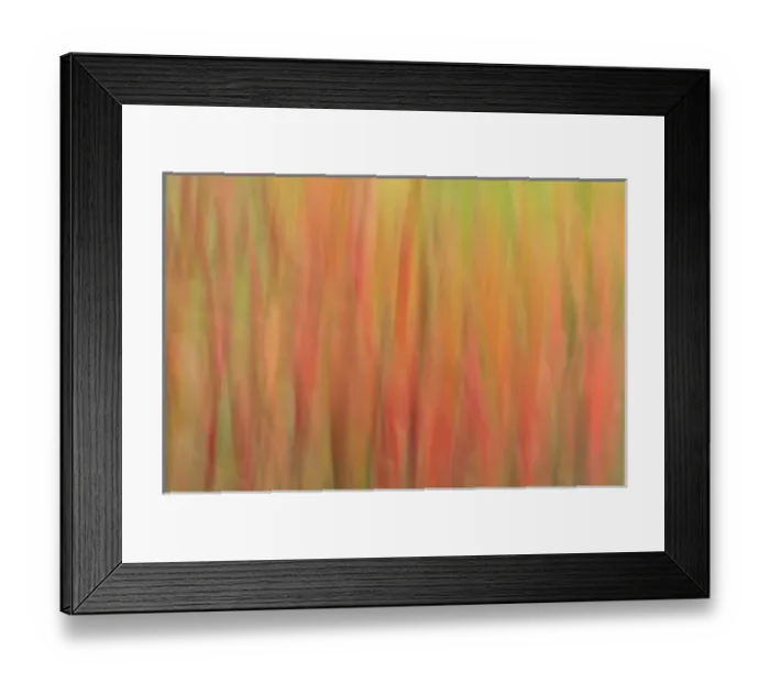Framed Print : USA, North America, Vermont