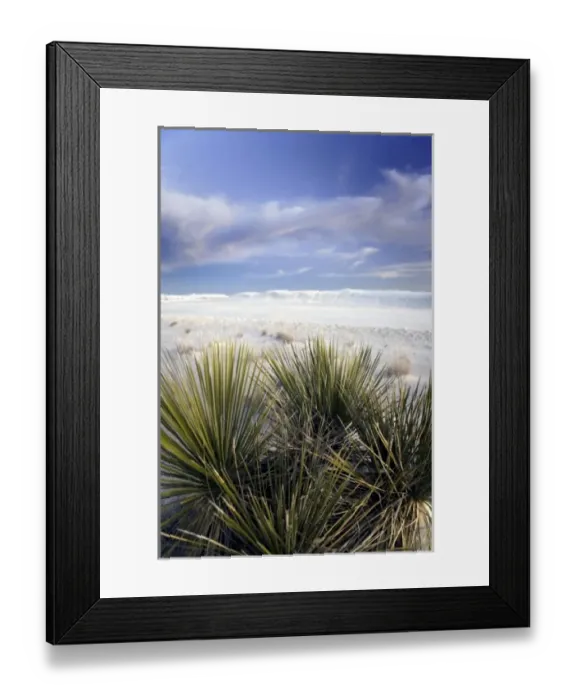 Framed Print : USA, New Mexico, White Sands National Monument situated in the Tularosa Basin of