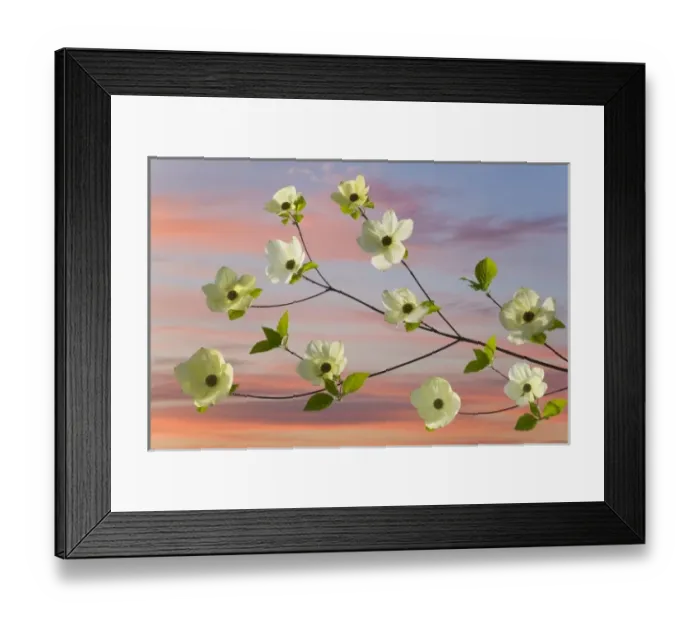 Framed Print : USA, North America, Washington Framed Print : USA, North America, Washington