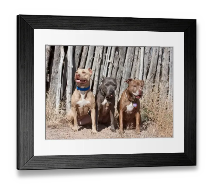 Framed Print : USA, North America, New Mexico Framed Print : USA, North America, New Mexico