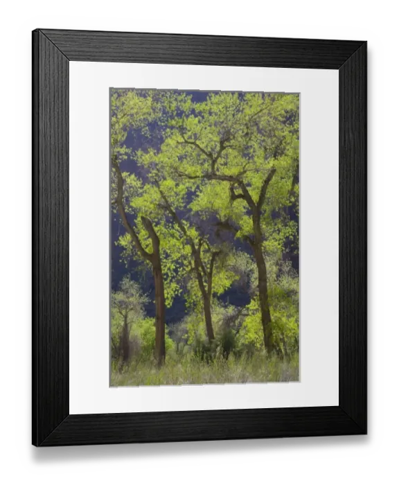 Framed Print : USA, North America, Utah Framed Print : USA, North America, Utah