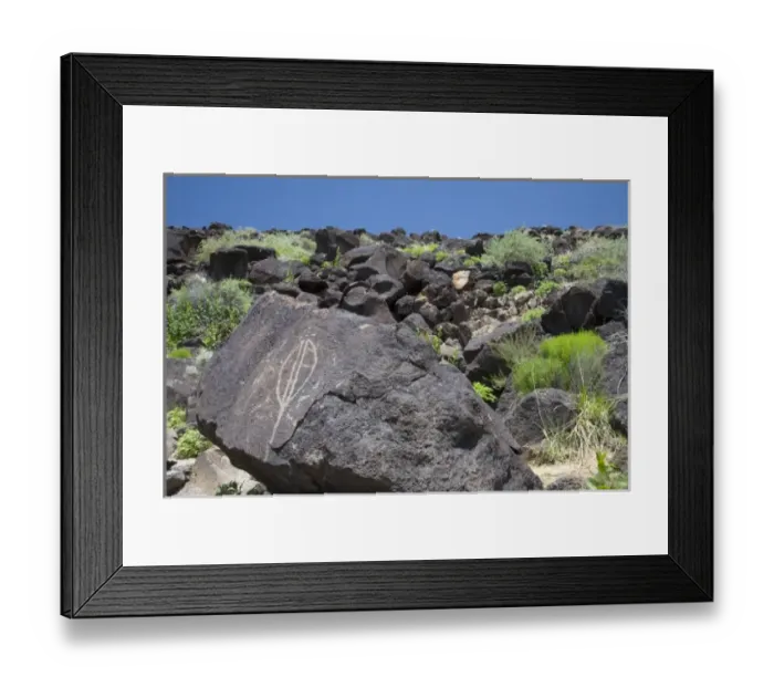 Framed Print : NM, New Mexico, Albuquerque, Petroglyph National Monument, Boca Negra Canyon, petroglyphs