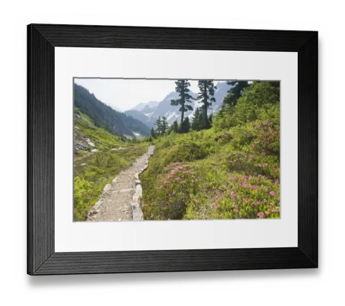 Framed Print : USA, North America, Washington