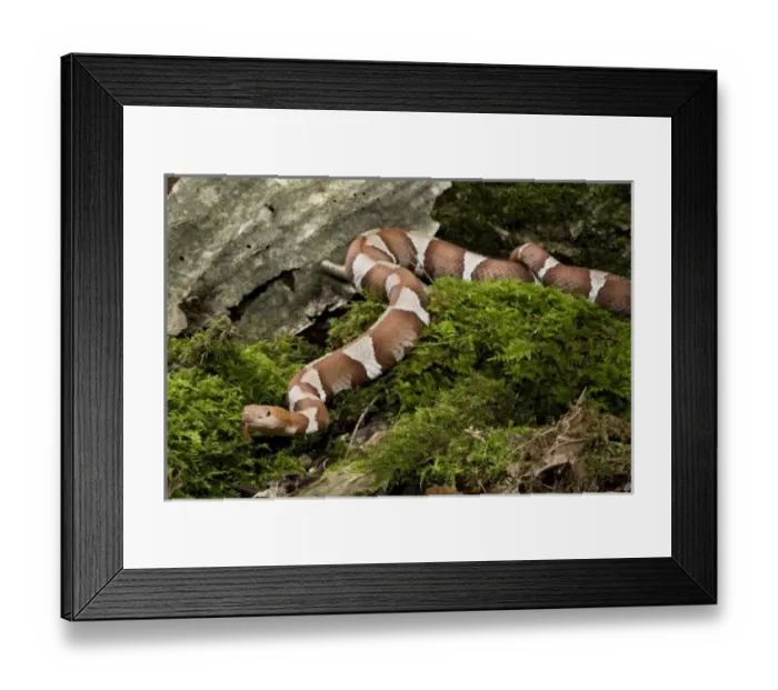 Framed Print : USA, North America, Pennsylvania