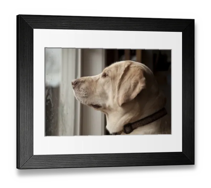 Framed Print : USA, North America, Oregon Framed Print : USA, North America, Oregon