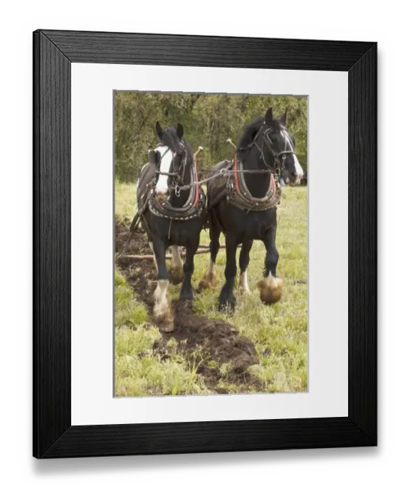 Framed Print : USA, North America, Oregon Framed Print : USA, North America, Oregon