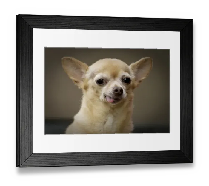 Framed Print : USA, North America, New Mexico Framed Print : USA, North America, New Mexico