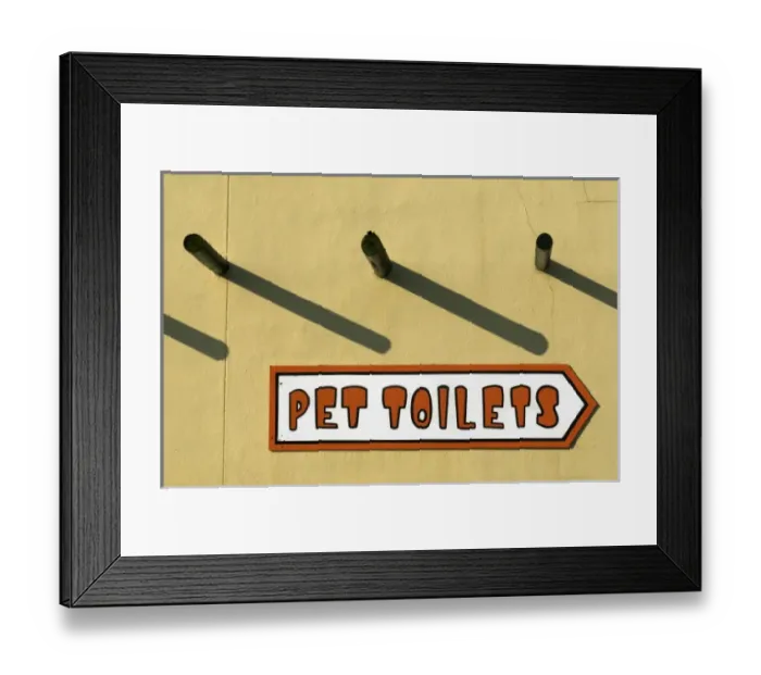 Framed Print : USA, North America, South Carolina Framed Print : USA, North America, South Carolina