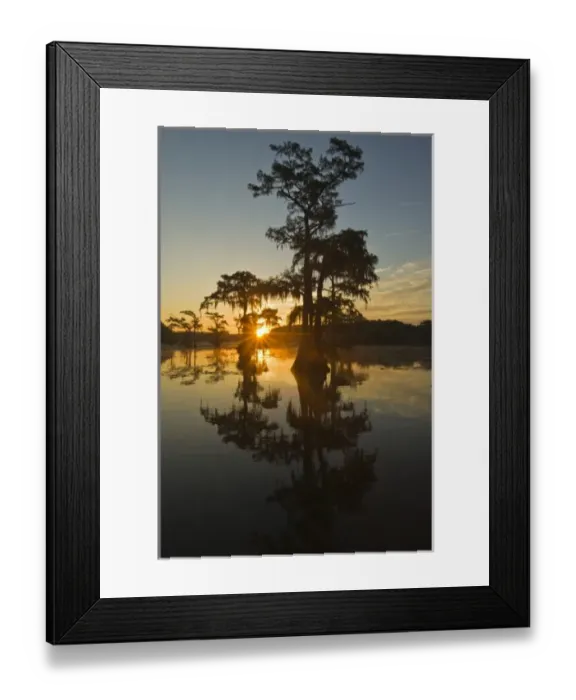Framed Print : USA, North America, Texas