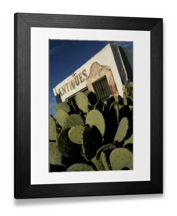 Framed Print : USA, North America, New Mexico Framed Print : USA, North America, New Mexico