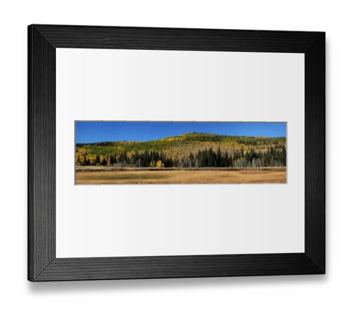 Framed Print : Utah; Uintah National Forest, Lambert Hollow, aspen trees. PLEASE CALL FOR SUPER-HI-RES FILES Framed Print : Utah; Uintah National Forest, Lambert Hollow, aspen trees. PLEASE CALL FOR SUPER-HI-RES FILES