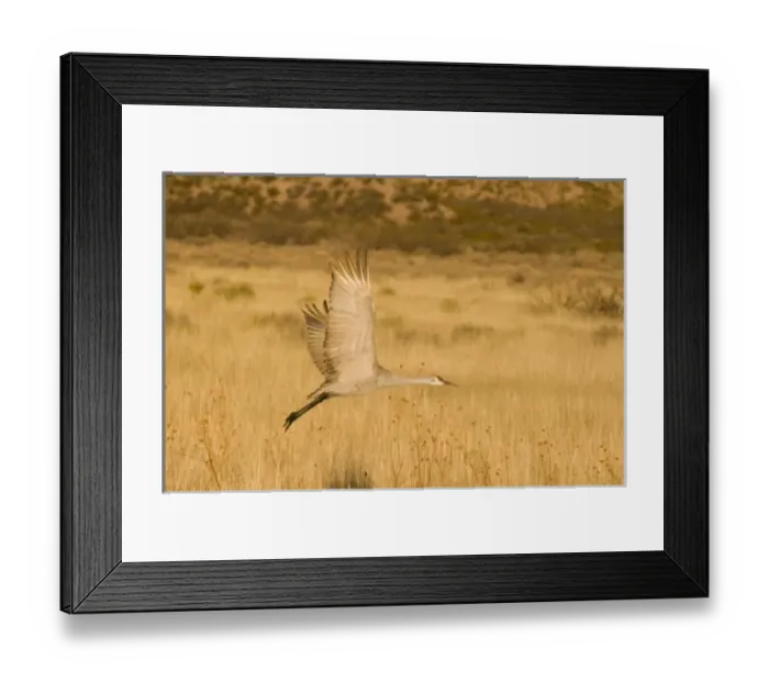 Framed Print : USA, North America, New Mexico Framed Print : USA, North America, New Mexico