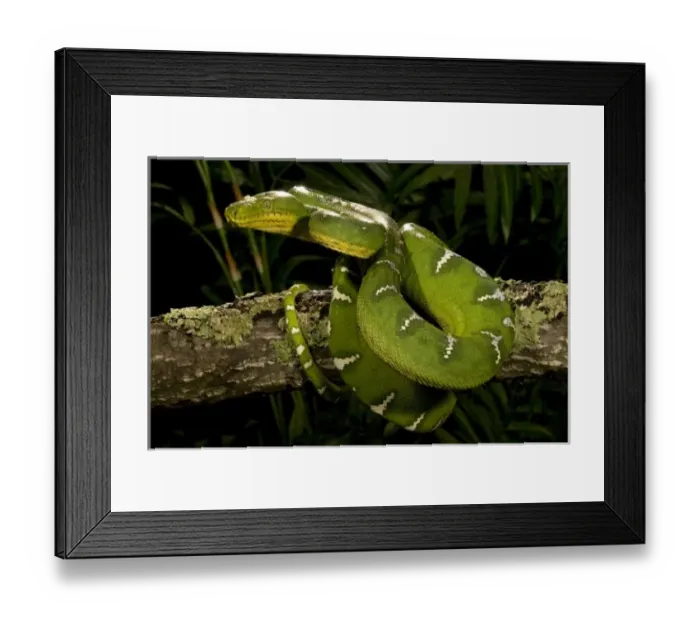 Framed Print : USA, North America, Pennsylvania Framed Print : USA, North America, Pennsylvania