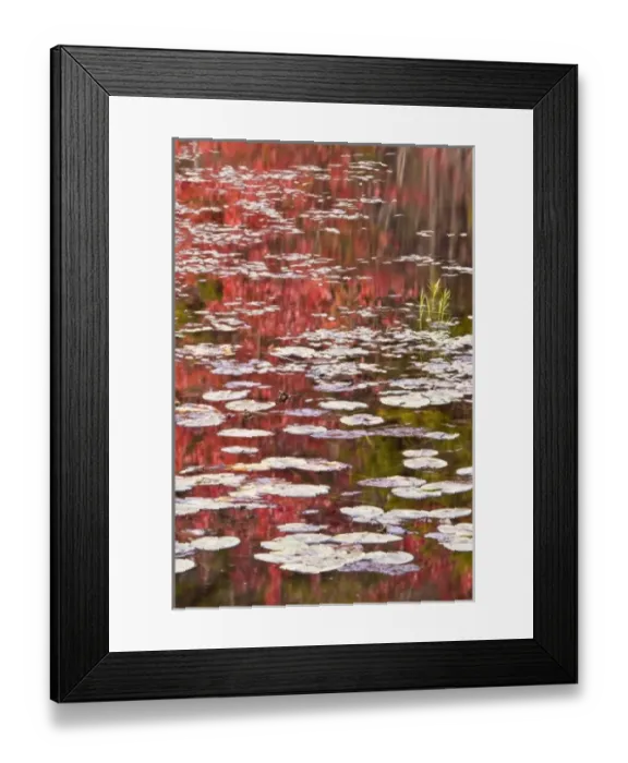 Framed Print : USA, Pennsylvania, Delaware Water Gap National Recreation Area. Autumn reflections Framed Print : USA, Pennsylvania, Delaware Water Gap National Recreation Area. Autumn reflections
