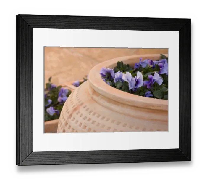 Framed Print : USA, North America, New Mexico Framed Print : USA, North America, New Mexico