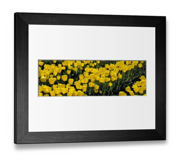 Framed Print : USA, North America, Oregon Framed Print : USA, North America, Oregon