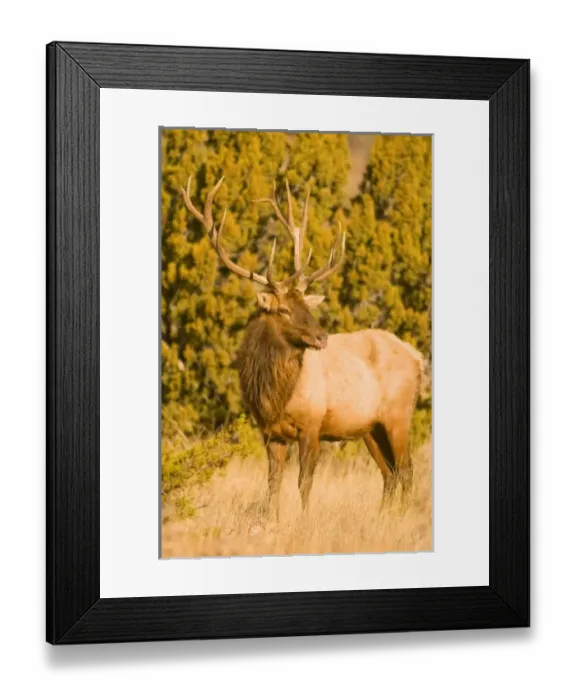 Framed Print : USA, North America, Texas Framed Print : USA, North America, Texas