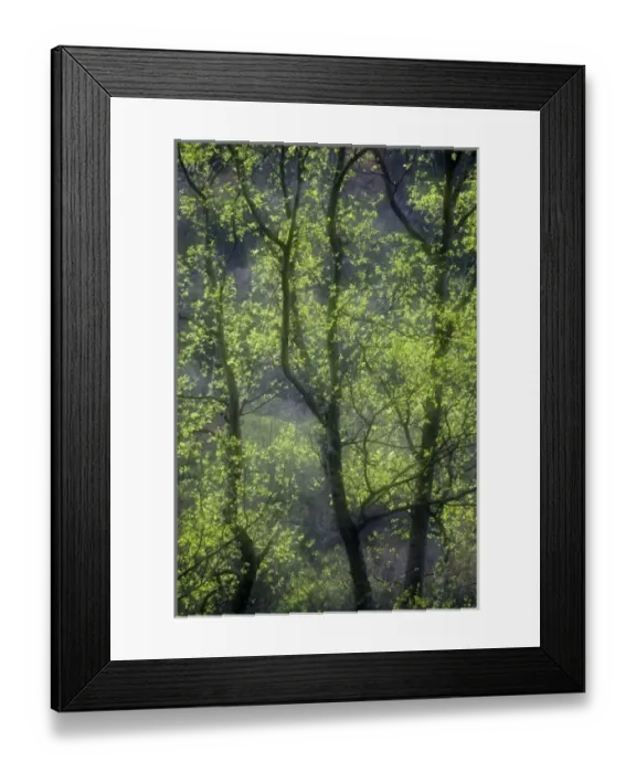 Framed Print : USA, North America, North Carolina Framed Print : USA, North America, North Carolina