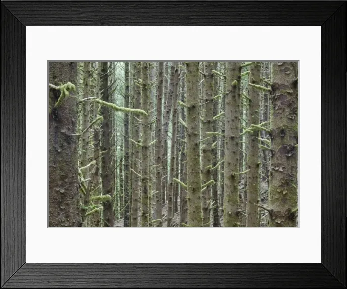 Framed Print : USA, North America, Oregon Framed Print : USA, North America, Oregon