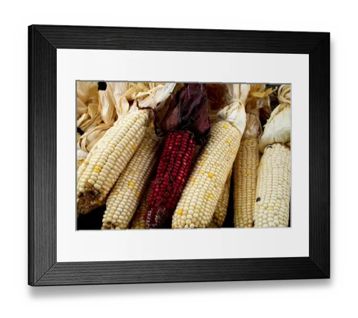 Framed Print : USA, North America, New Mexico Framed Print : USA, North America, New Mexico