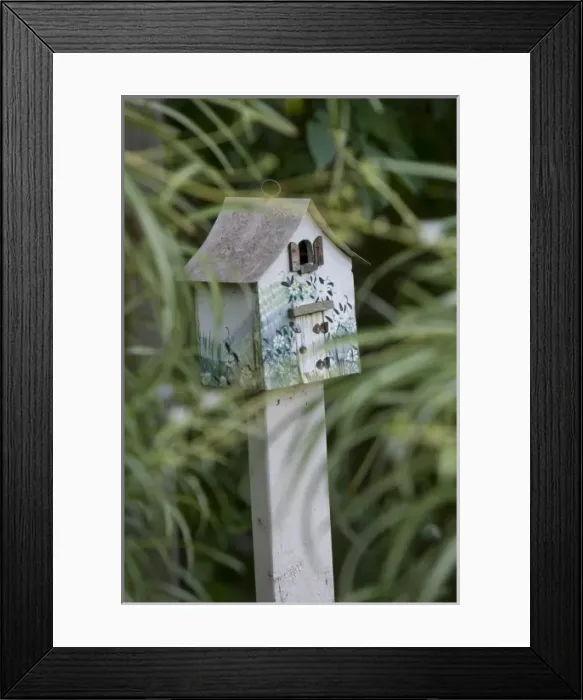 Framed Print : Backyard birdhouse