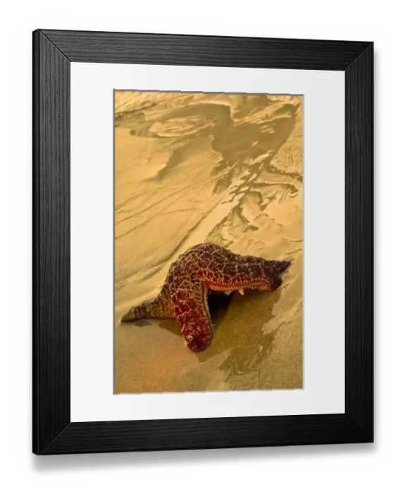 Framed Print : USA, North America, Oregon Framed Print : USA, North America, Oregon