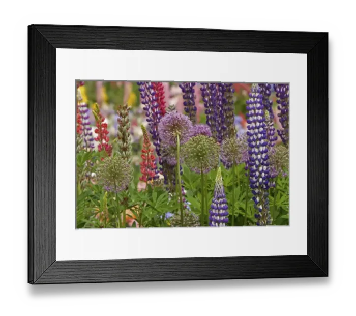 Framed Print : USA, North America, Oregon