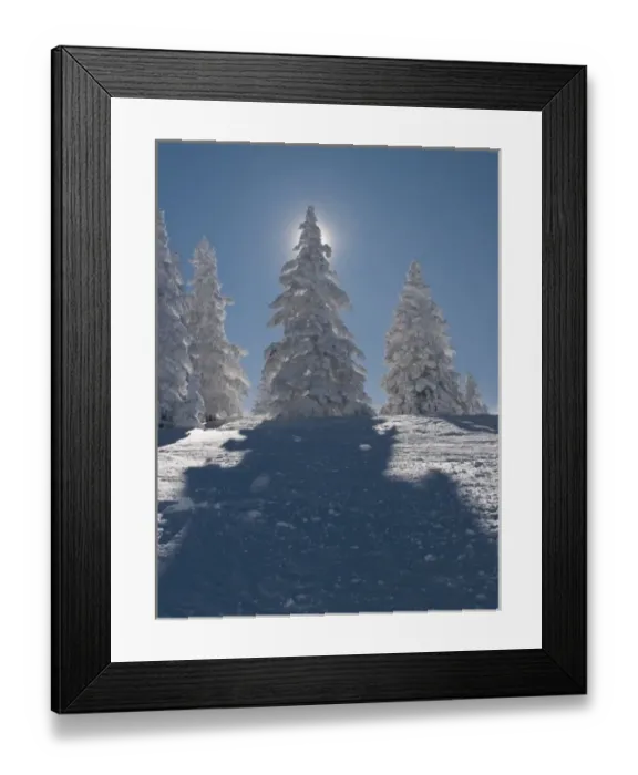 Framed Print : Snow covered trees at Santa Fe Ski Area Framed Print : Snow covered trees at Santa Fe Ski Area