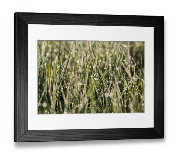 Framed Print : USA, North America, North Dakota Framed Print : USA, North America, North Dakota