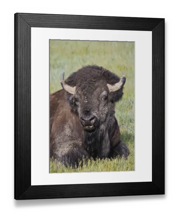 Framed Print : USA, North America, North Dakota Framed Print : USA, North America, North Dakota