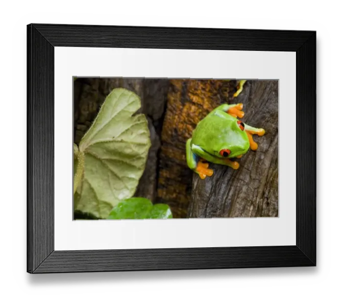 Framed Print : USA, North America, Utah