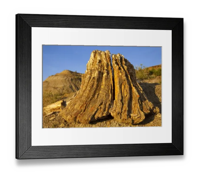 Framed Print : Petrified Forest Wilderness area of Theodore Roosevelt National Park in North Dakota