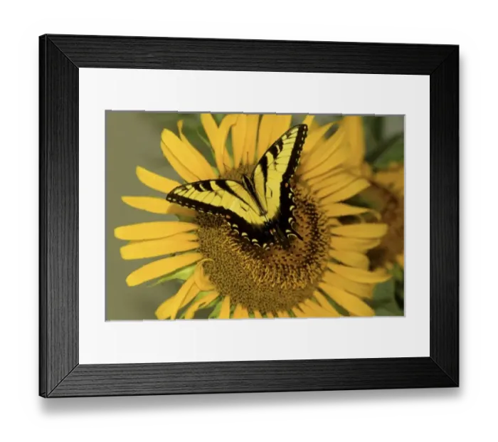 Framed Print : USA, North America, New Jersey Framed Print : USA, North America, New Jersey