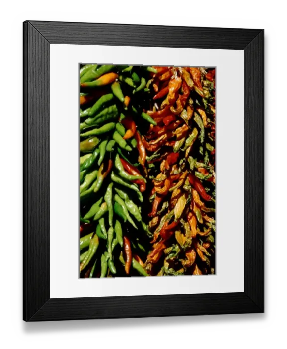 Framed Print : USA, North America, New Mexico
