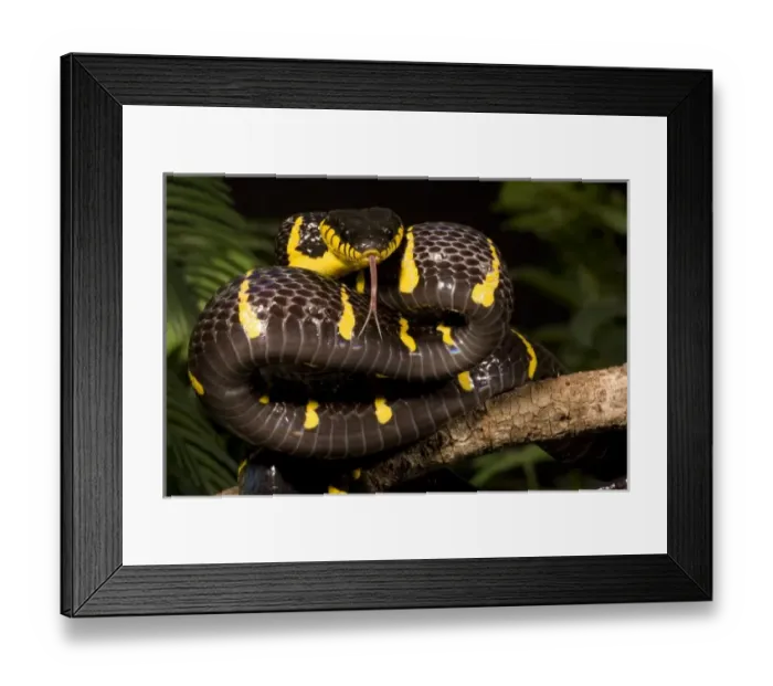 Framed Print : USA, North America, Pennsylvania