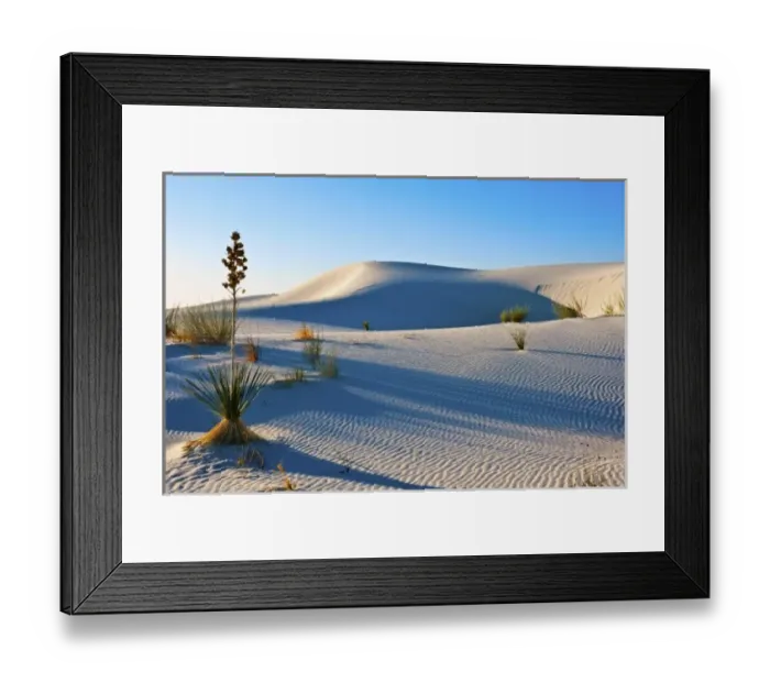 Framed Print : North America, USA, New Mexico, White Sands National Monument, Transverse Dunes, Yucca Framed Print : North America, USA, New Mexico, White Sands National Monument, Transverse Dunes, Yucca