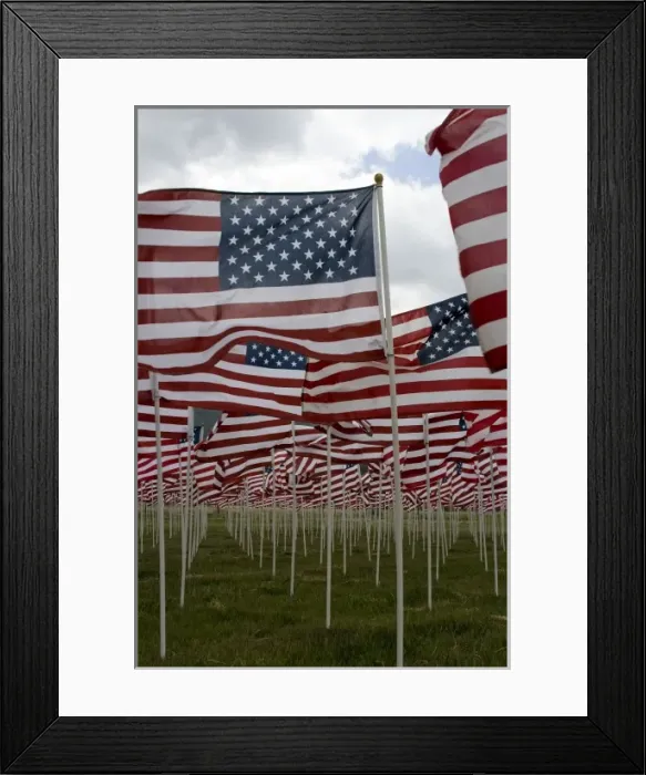 Framed Print : USA, New Mexico, Questa, Flag Memorial Honoring Americas Veterans