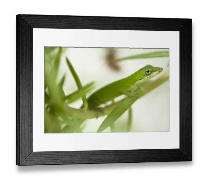 Framed Print : USA, North America, Pennsylvania Framed Print : USA, North America, Pennsylvania