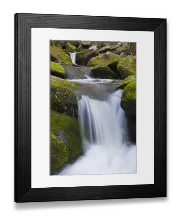 Framed Print : USA, Tennessee, Great Smoky Mountains National Park. Spring melt rushes through Roaring Fork Creek
