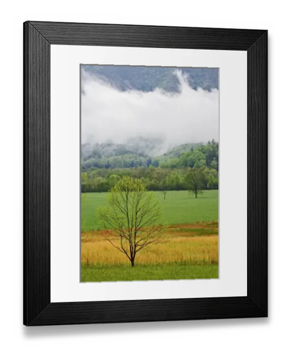 Framed Print : USA, North America, Tennessee Framed Print : USA, North America, Tennessee
