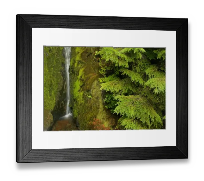 Framed Print : USA, North America, Washington Framed Print : USA, North America, Washington