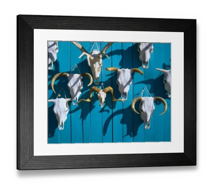 Framed Print : NEW MEXICO. USA. Big wall o skulls for sale near Taos Framed Print : NEW MEXICO. USA. Big wall o skulls for sale near Taos