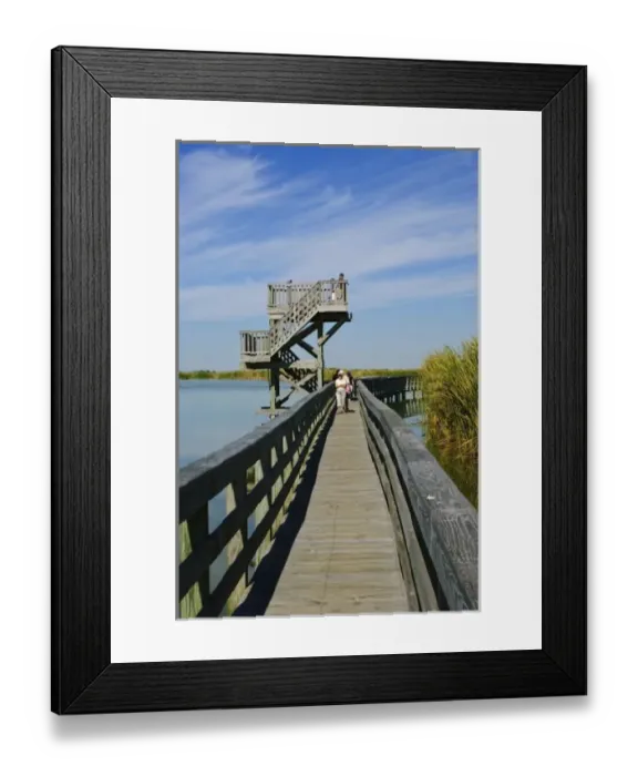 Framed Print : USA, North America, Texas Framed Print : USA, North America, Texas