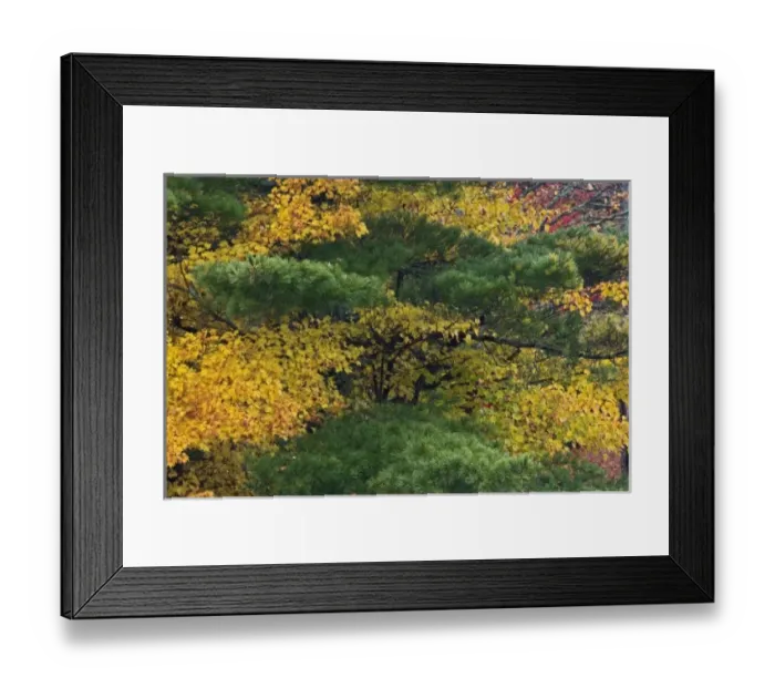 Framed Print : USA, North America, North Carolina Framed Print : USA, North America, North Carolina